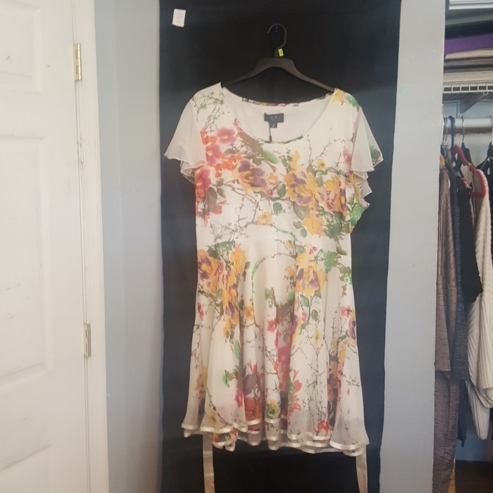 Im selling a brand new never worn dress.